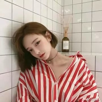 森林之北